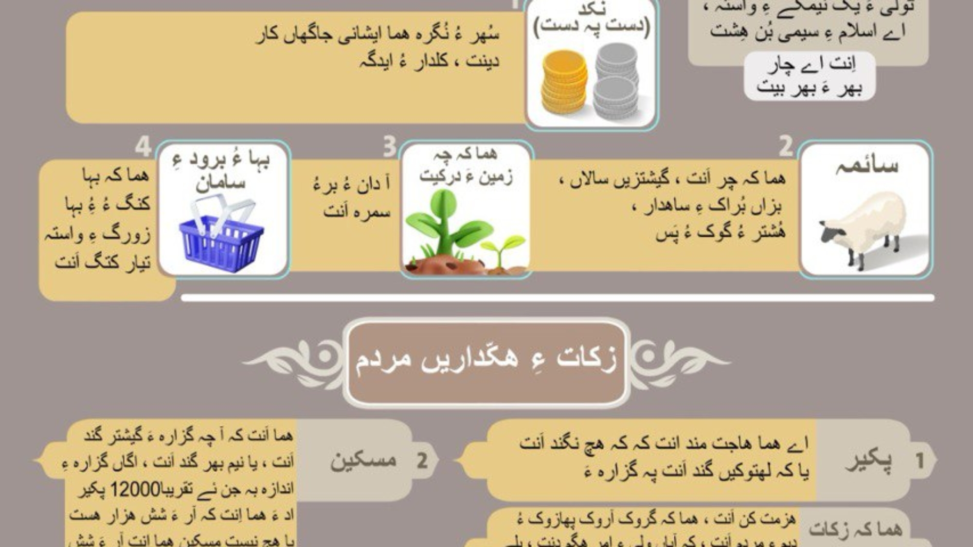 photo_2025-03-03_14-53-19