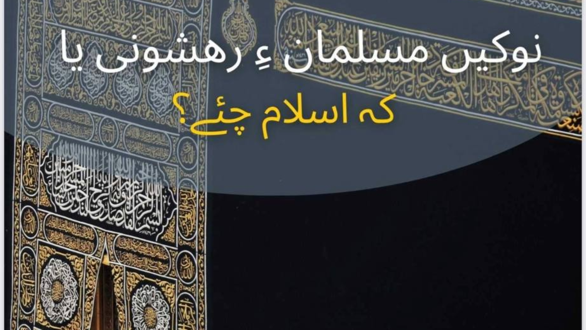 photo_2025-03-08_21-28-38