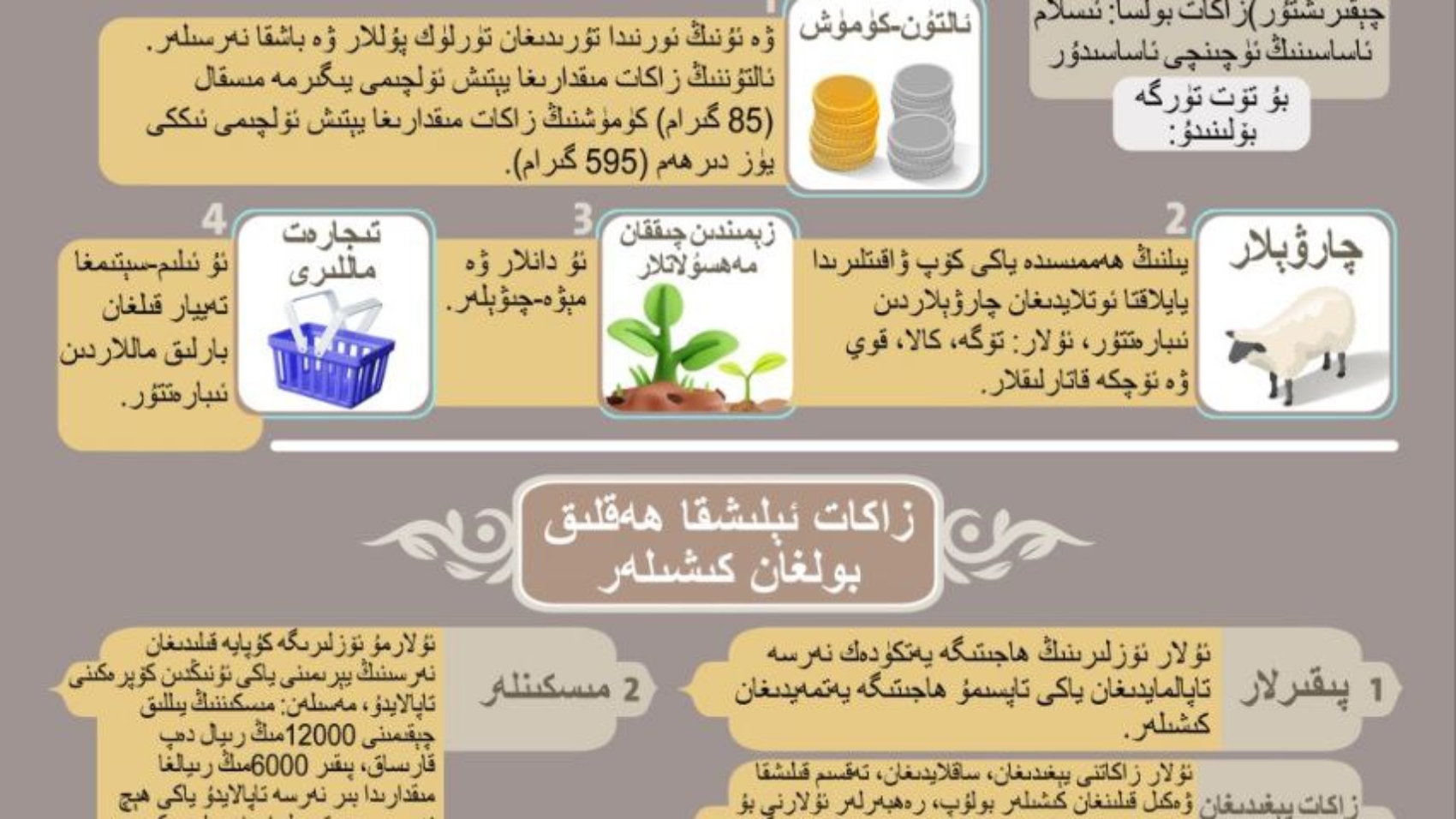photo_٢٠٢٥-٠٤-١٨_٢٠-٥٨-٥٠