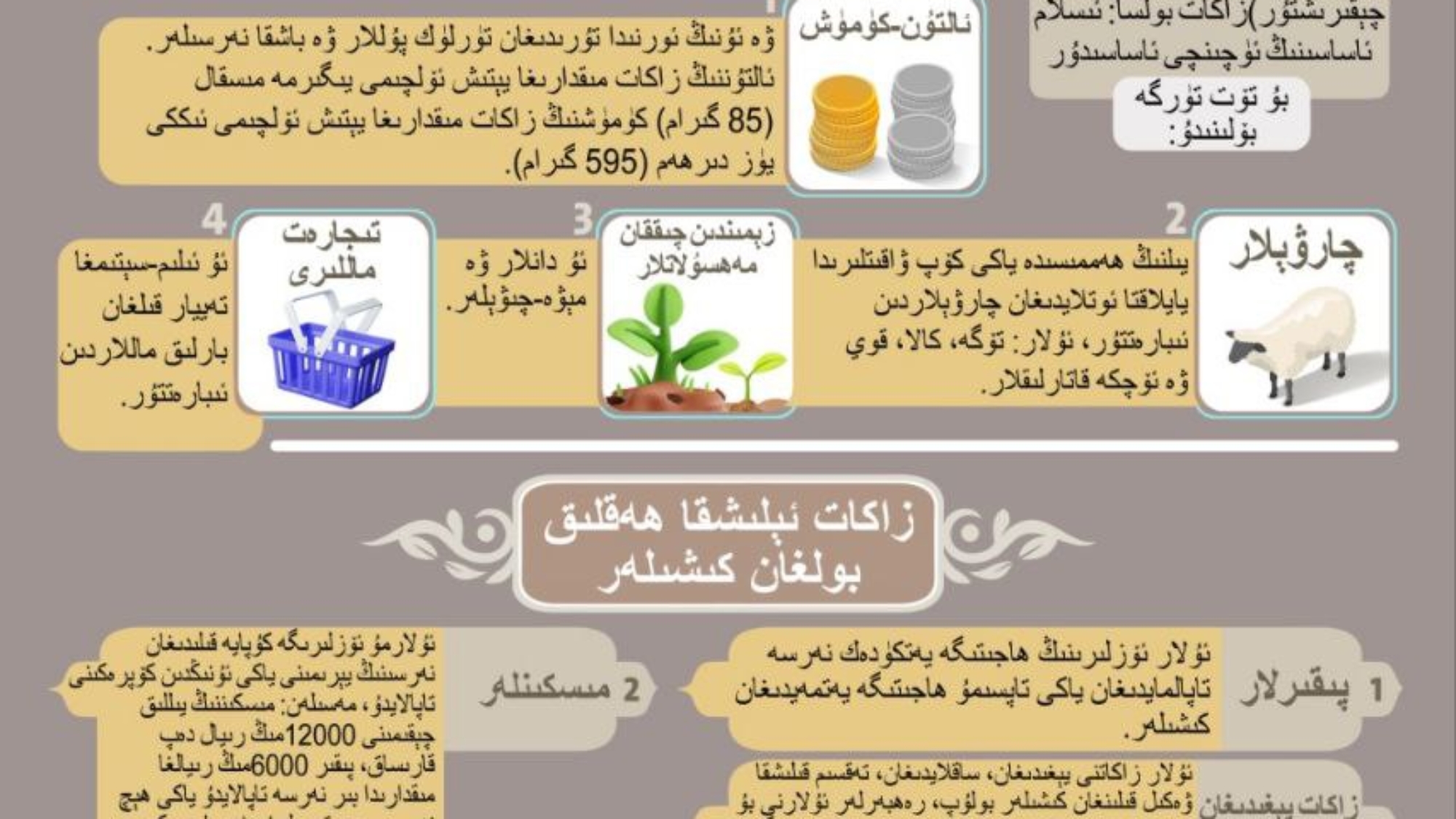 photo_٢٠٢٥-٠٤-١٨_٢٠-٥٨-٥٠