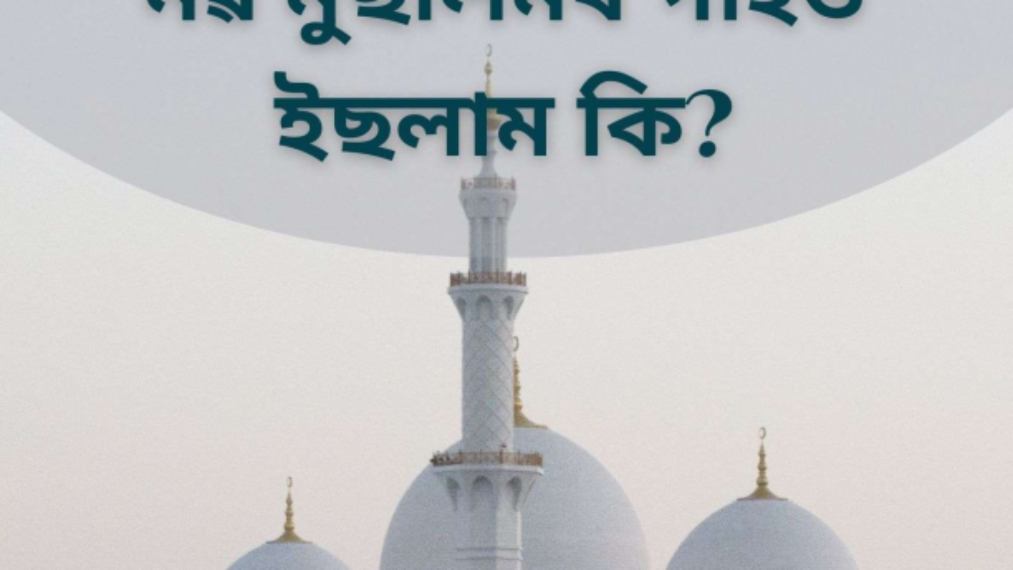 لقطة شاشة 2025-05-29 225519