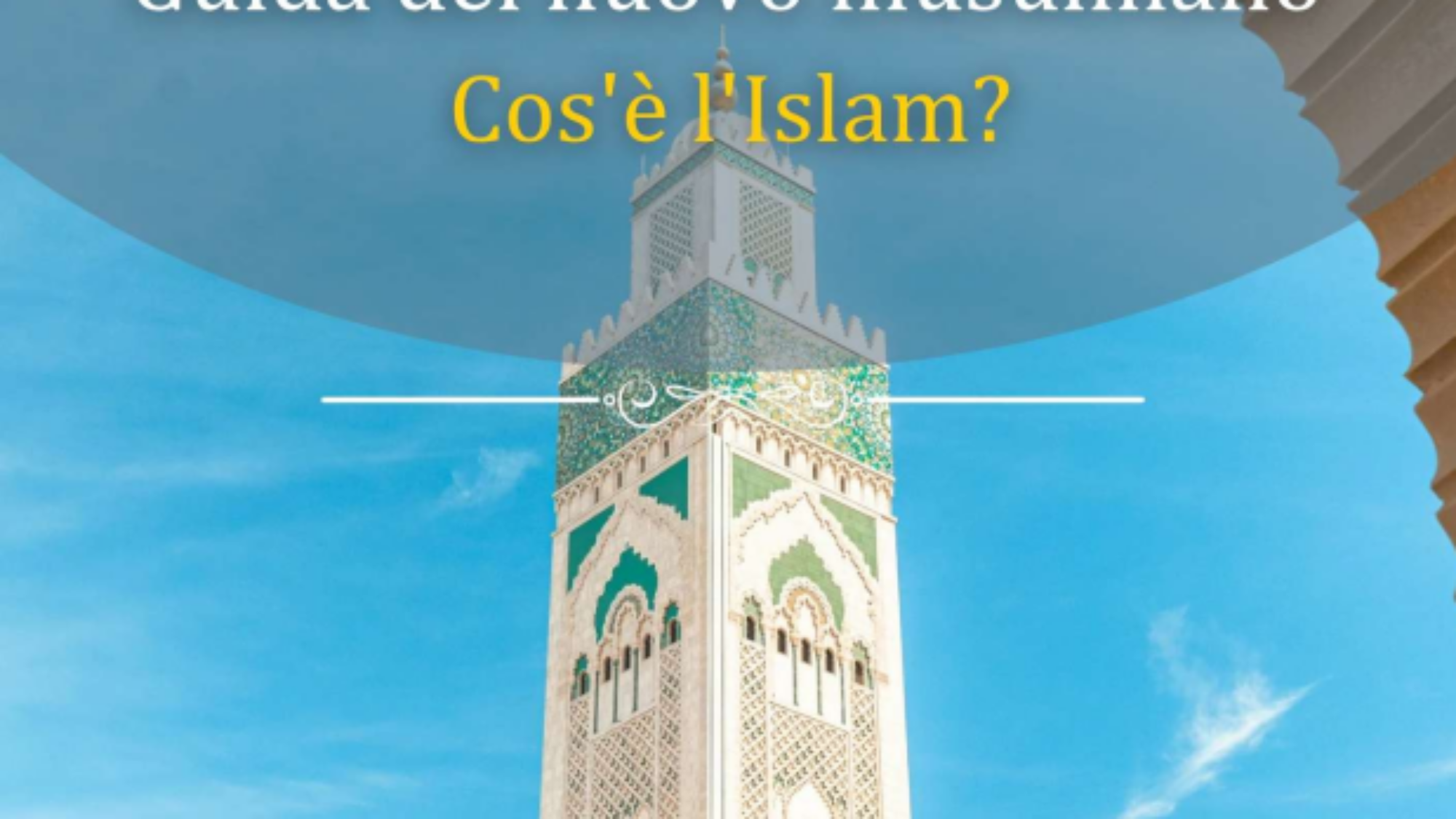 لقطة شاشة 2025-07-06 143950