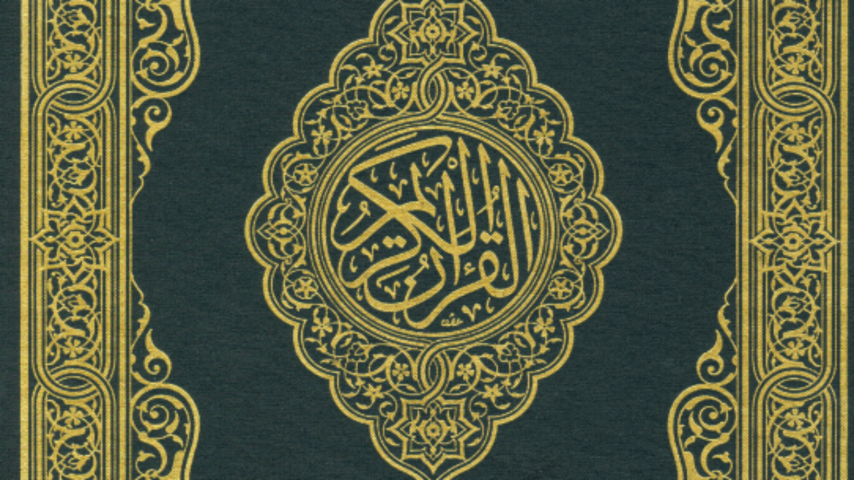 لقطة شاشة 2025-11-17 014831