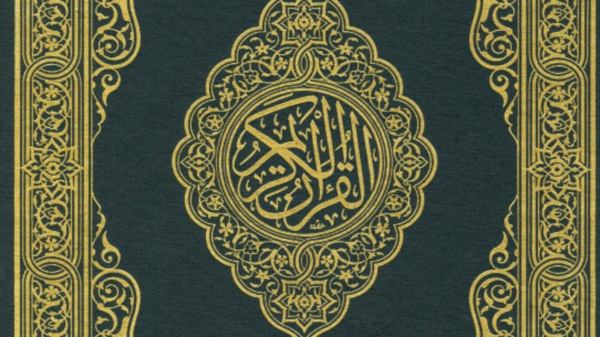 لقطة شاشة 2025-11-17 014831