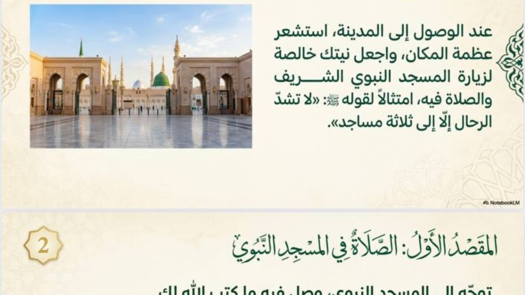 photo_2026-02-17_08-18-50