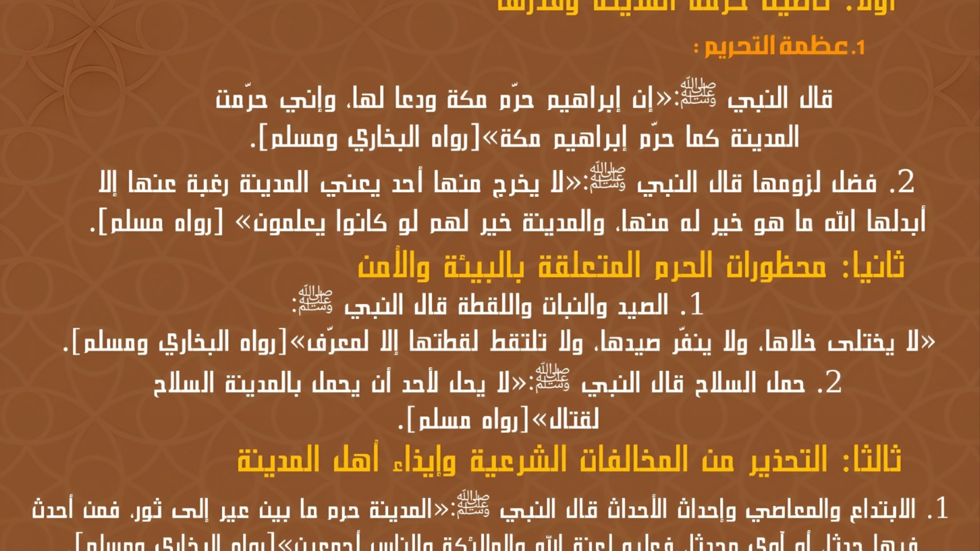 photo_2026-02-17_08-24-03