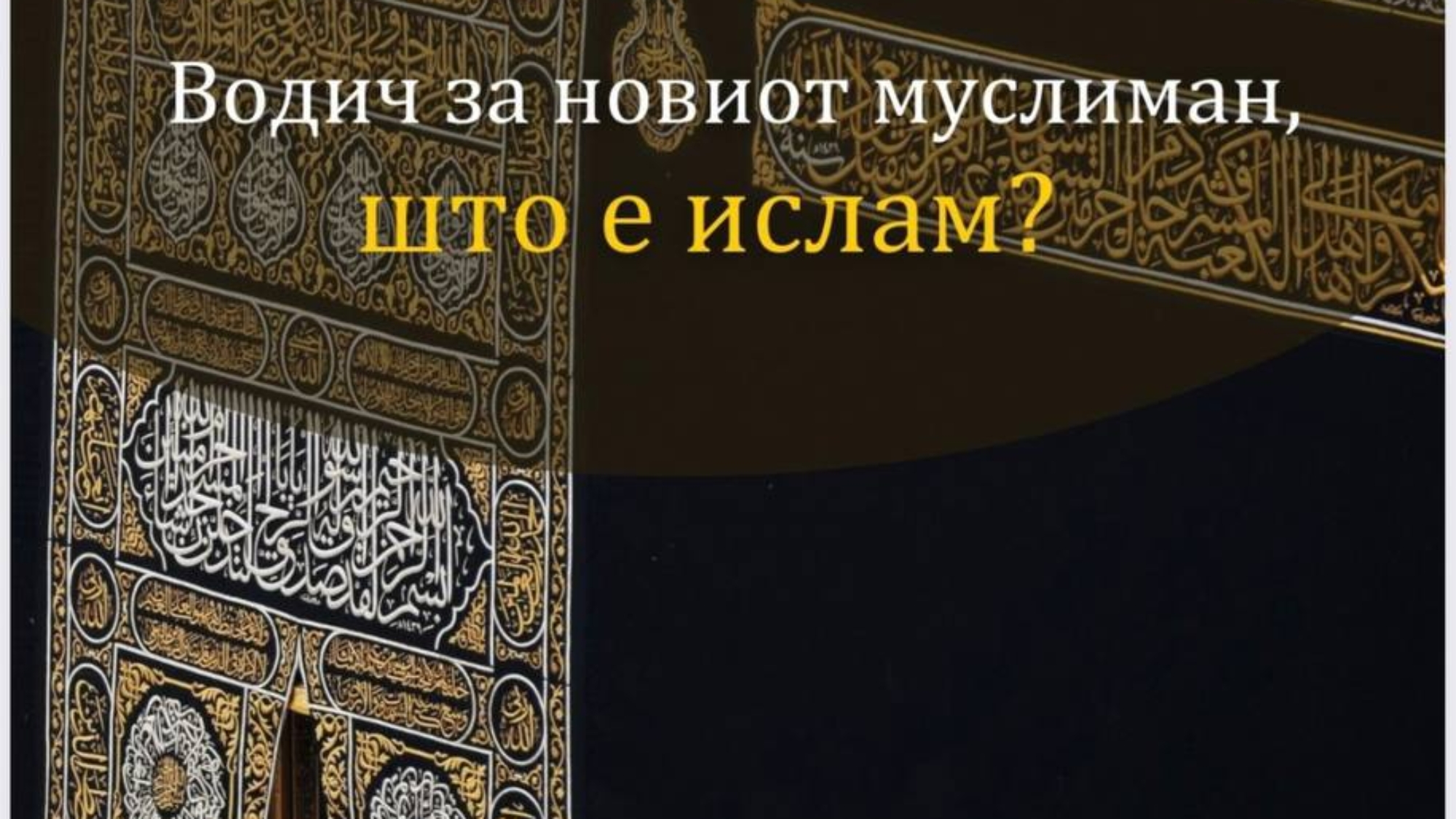 photo_2026-03-01_18-09-20