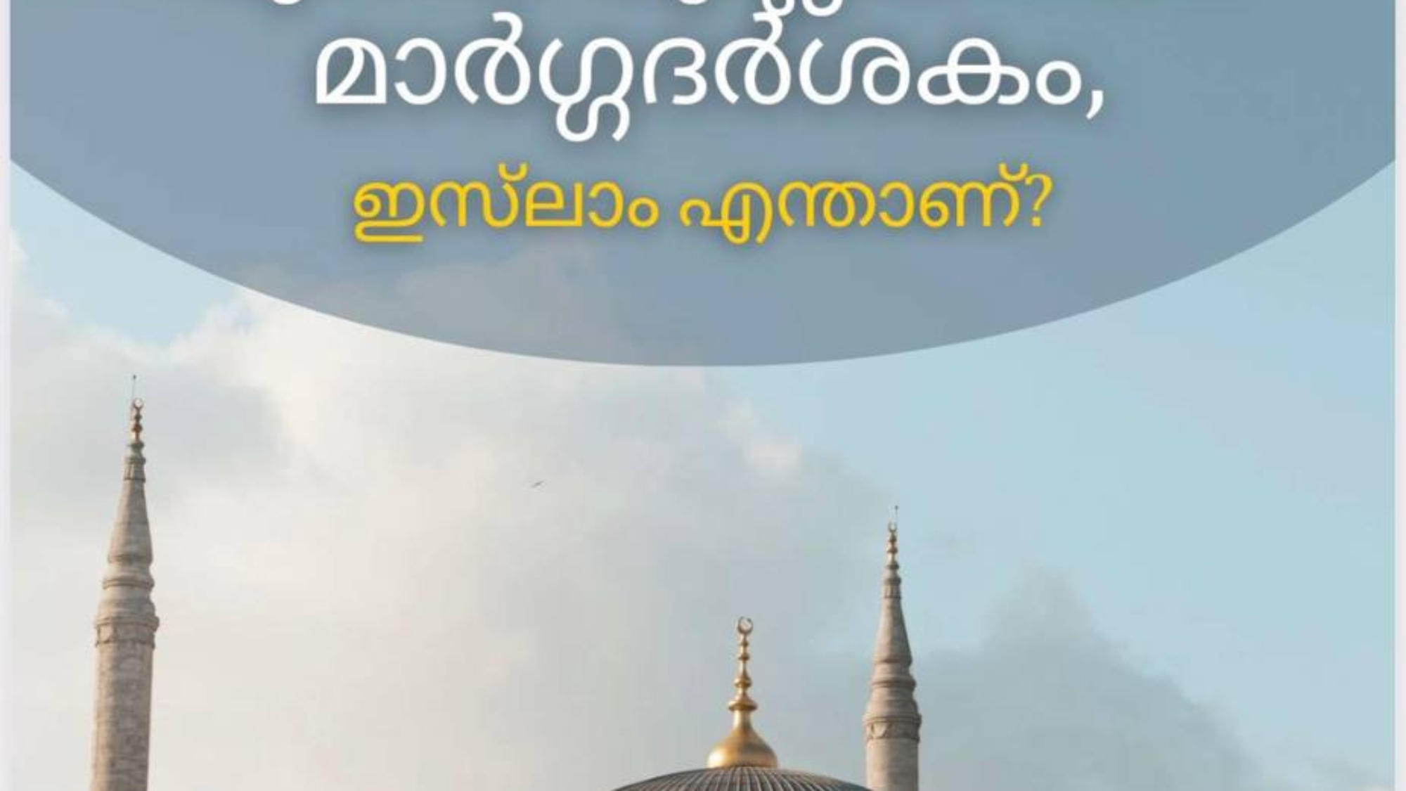 photo_2026-03-01_20-13-26