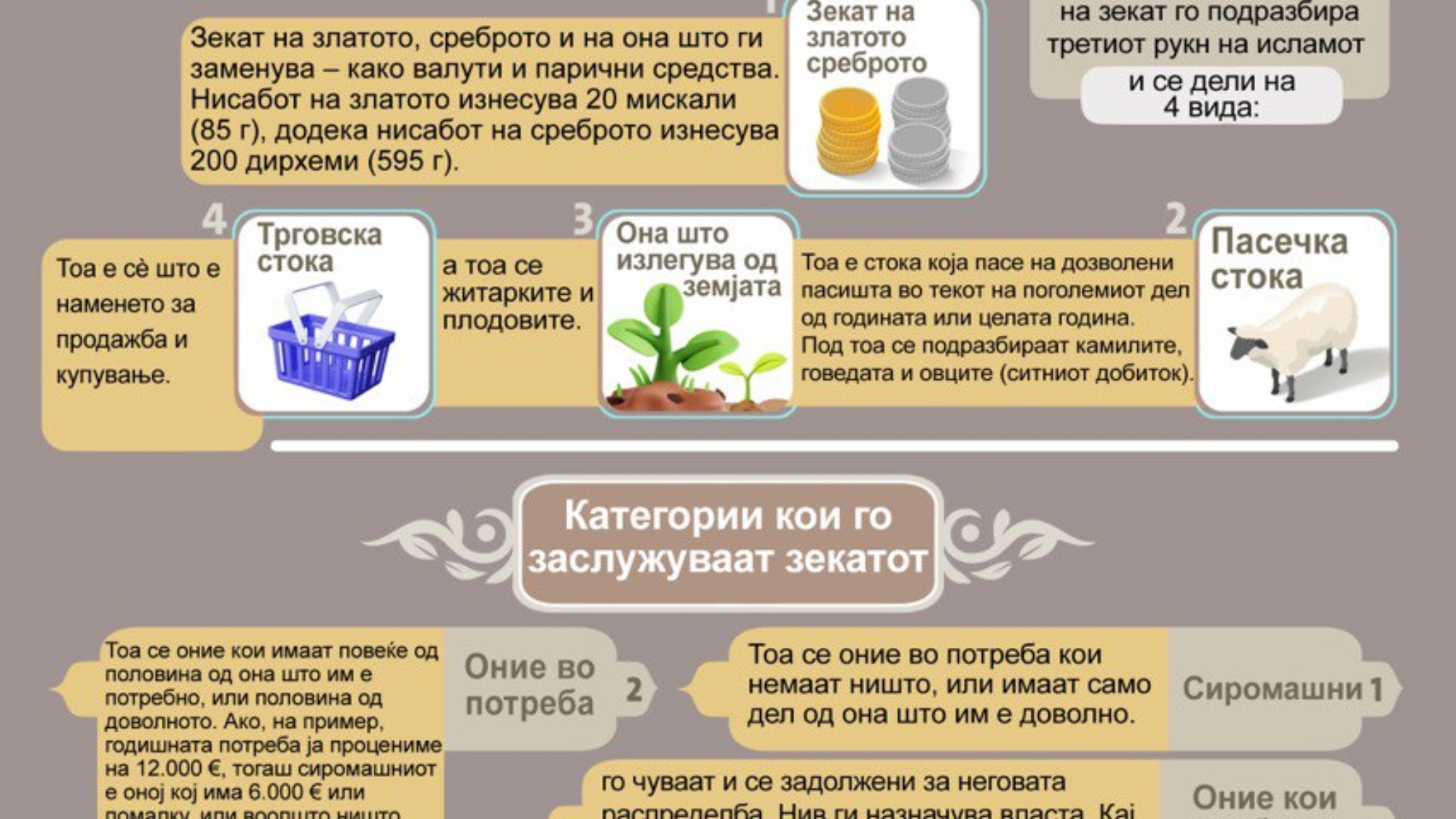 photo_2026-03-01_20-25-05