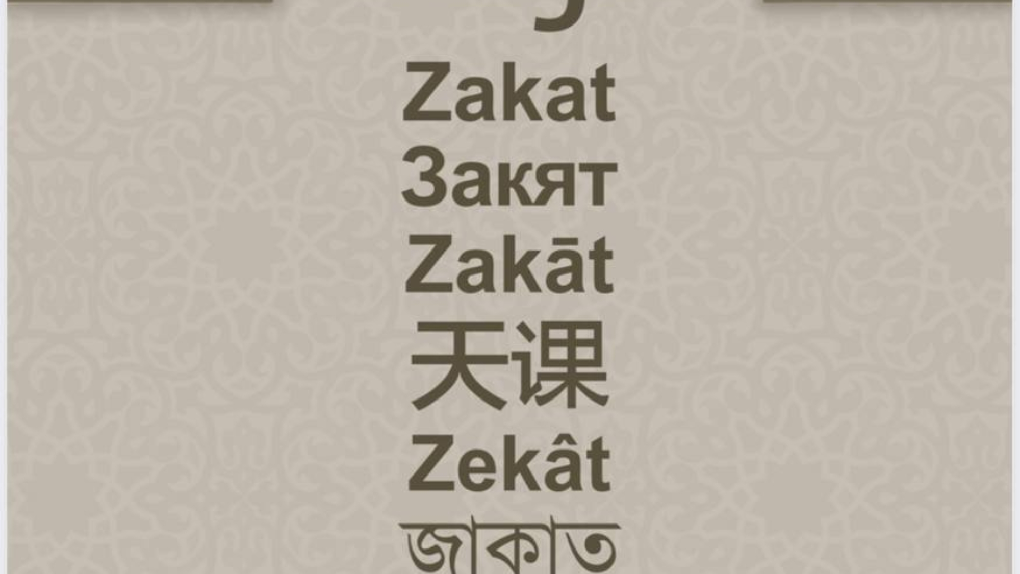 photo_2026-03-01_21-14-40