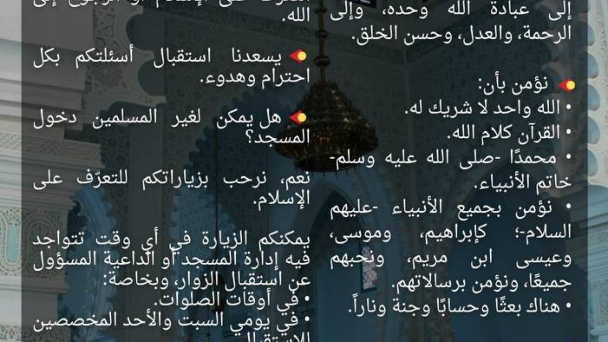 photo_2026-03-26_19-48-45