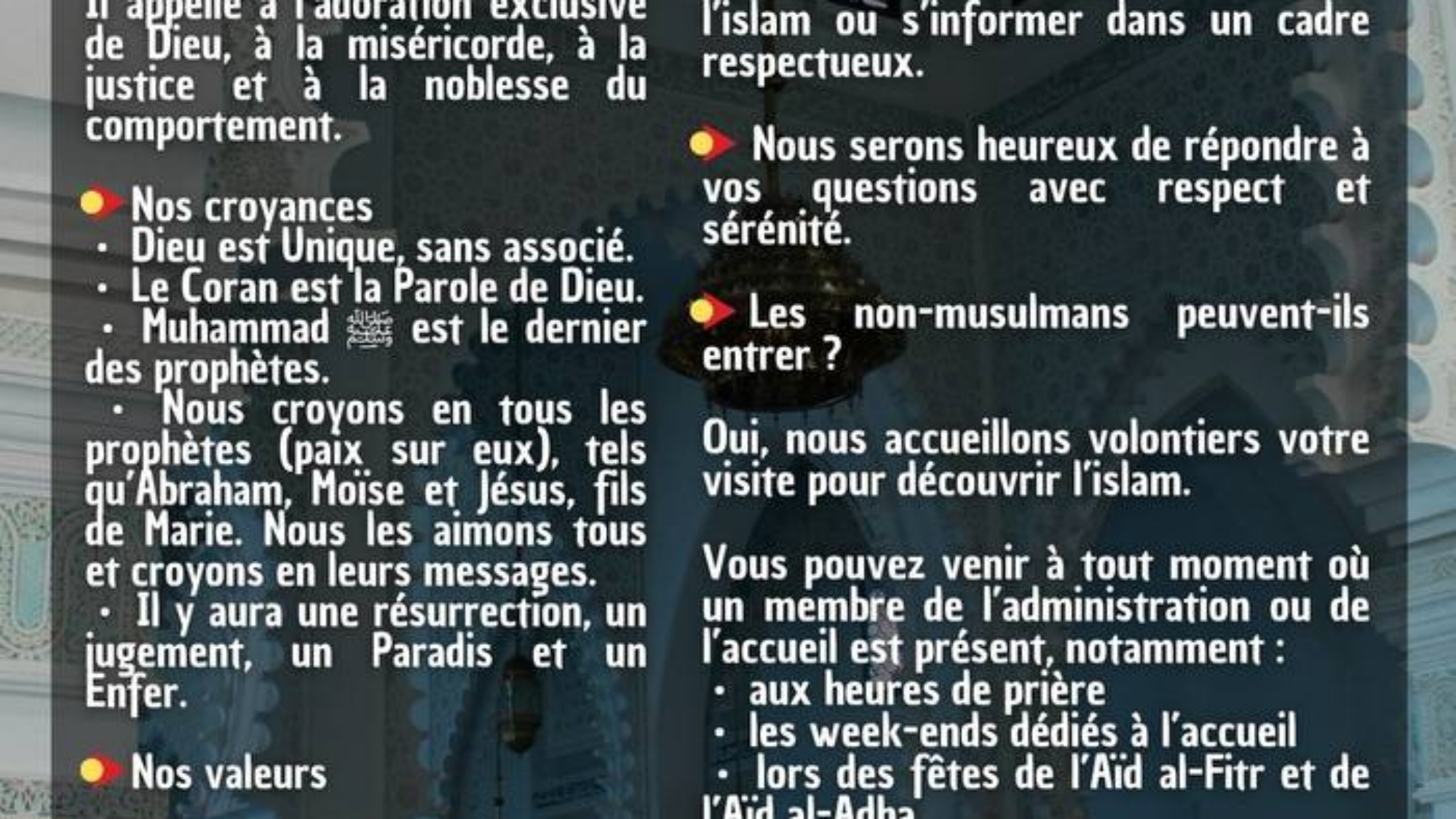 photo_2026-03-26_19-56-02