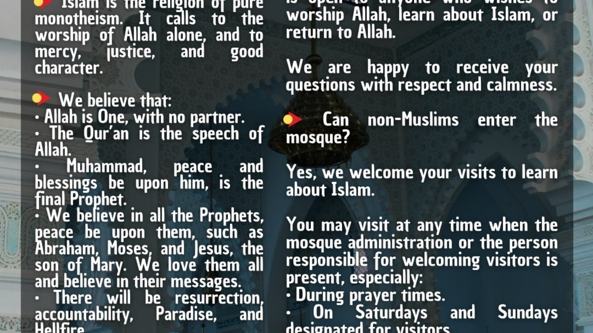 photo_2026-03-28_17-08-57