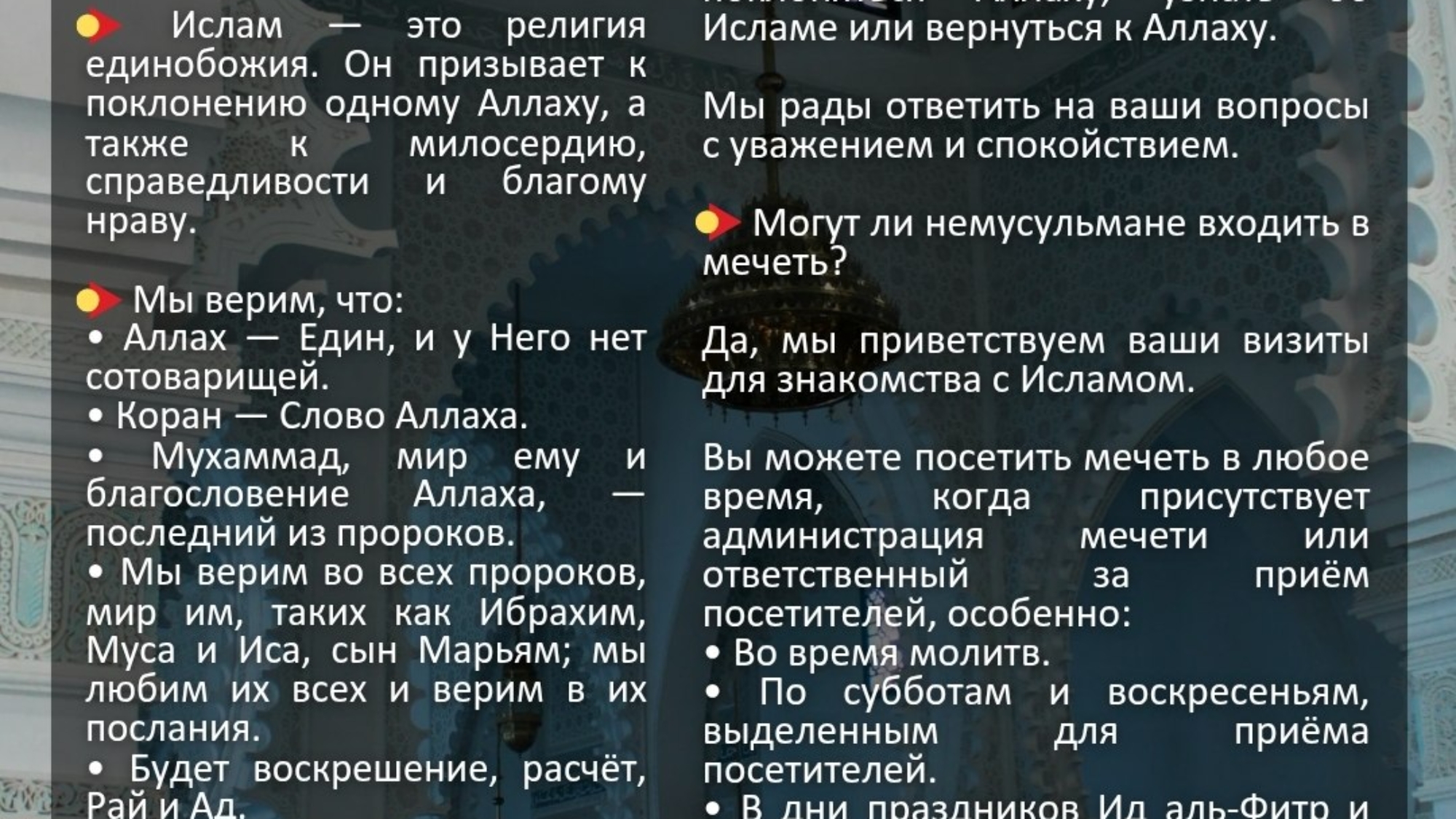 photo_2026-03-28_17-10-21