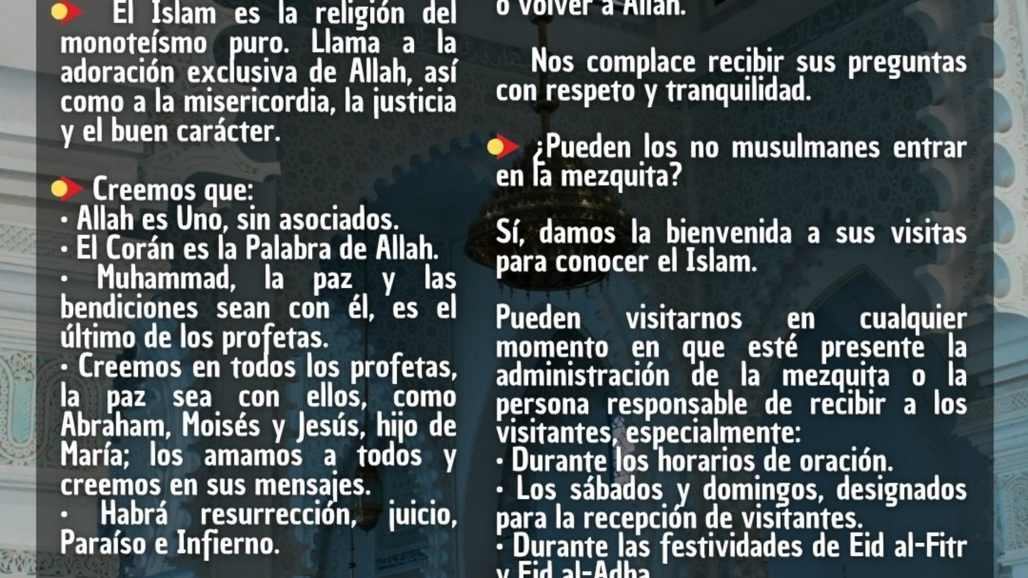 photo_2026-03-28_17-15-33