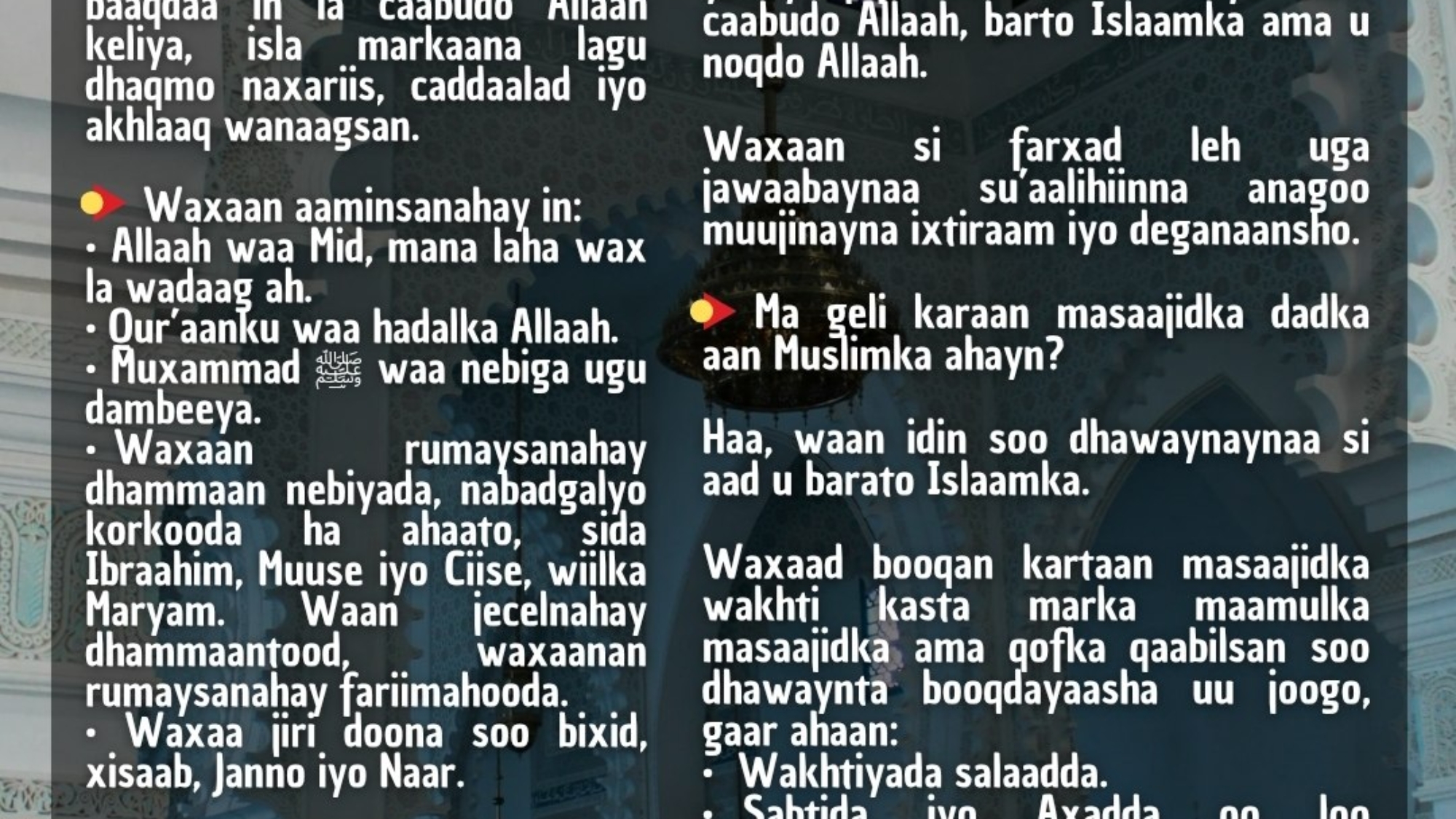 photo_2026-03-28_17-21-34