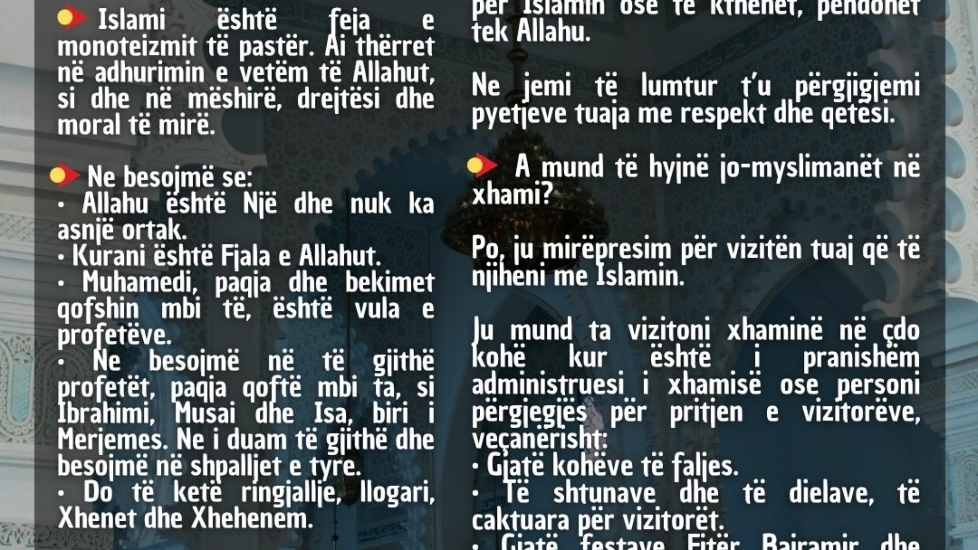 photo_2026-03-28_17-24-23