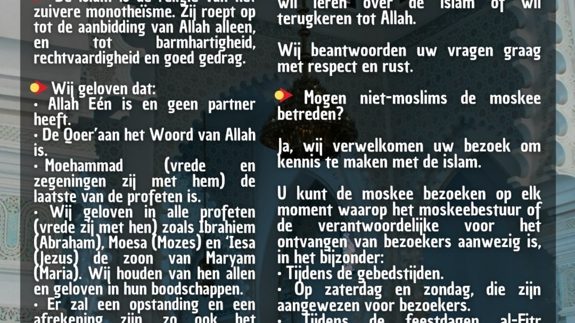 photo_2026-03-28_17-29-38