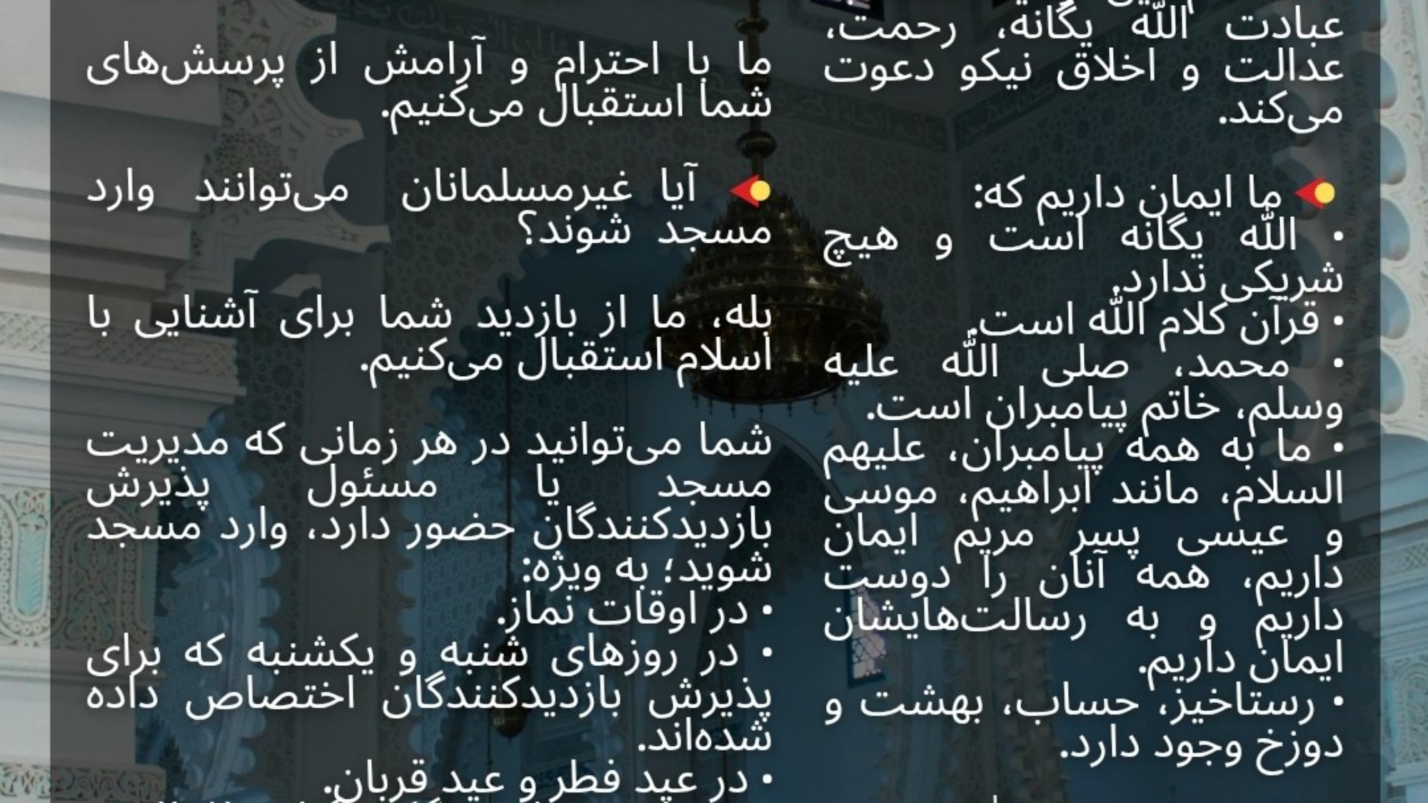 photo_2026-03-28_17-40-59