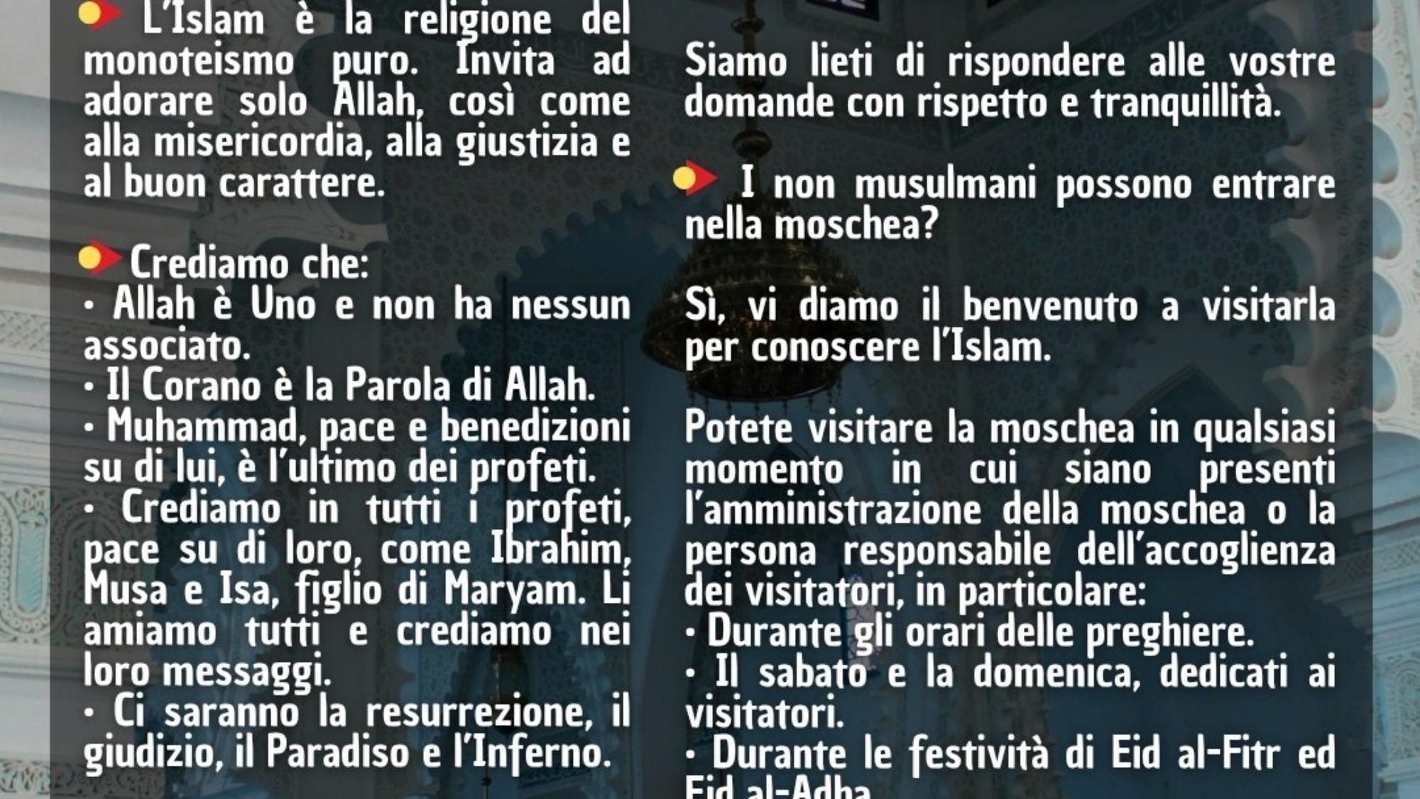 photo_2026-03-28_19-08-43