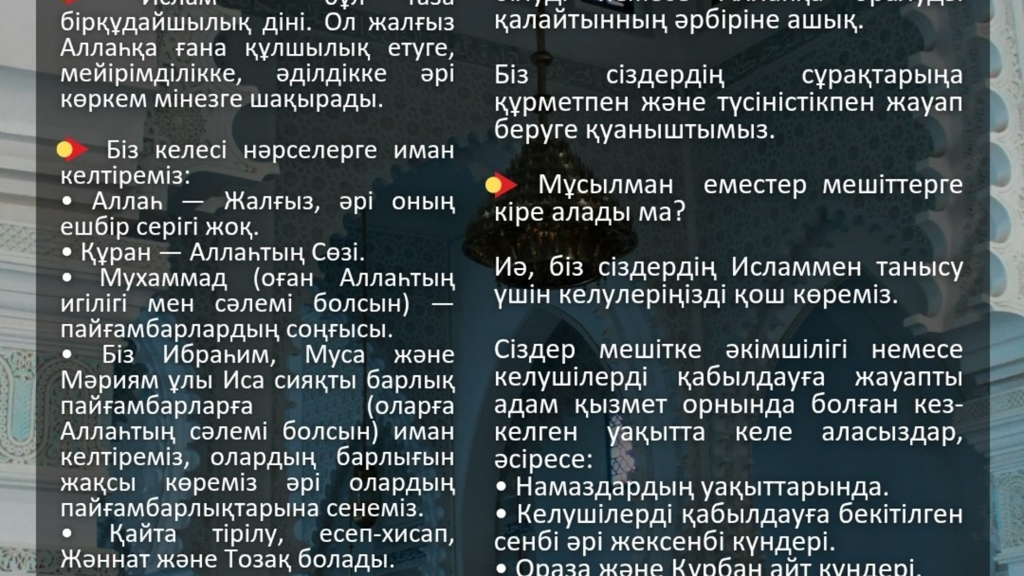 photo_2026-03-28_19-15-21