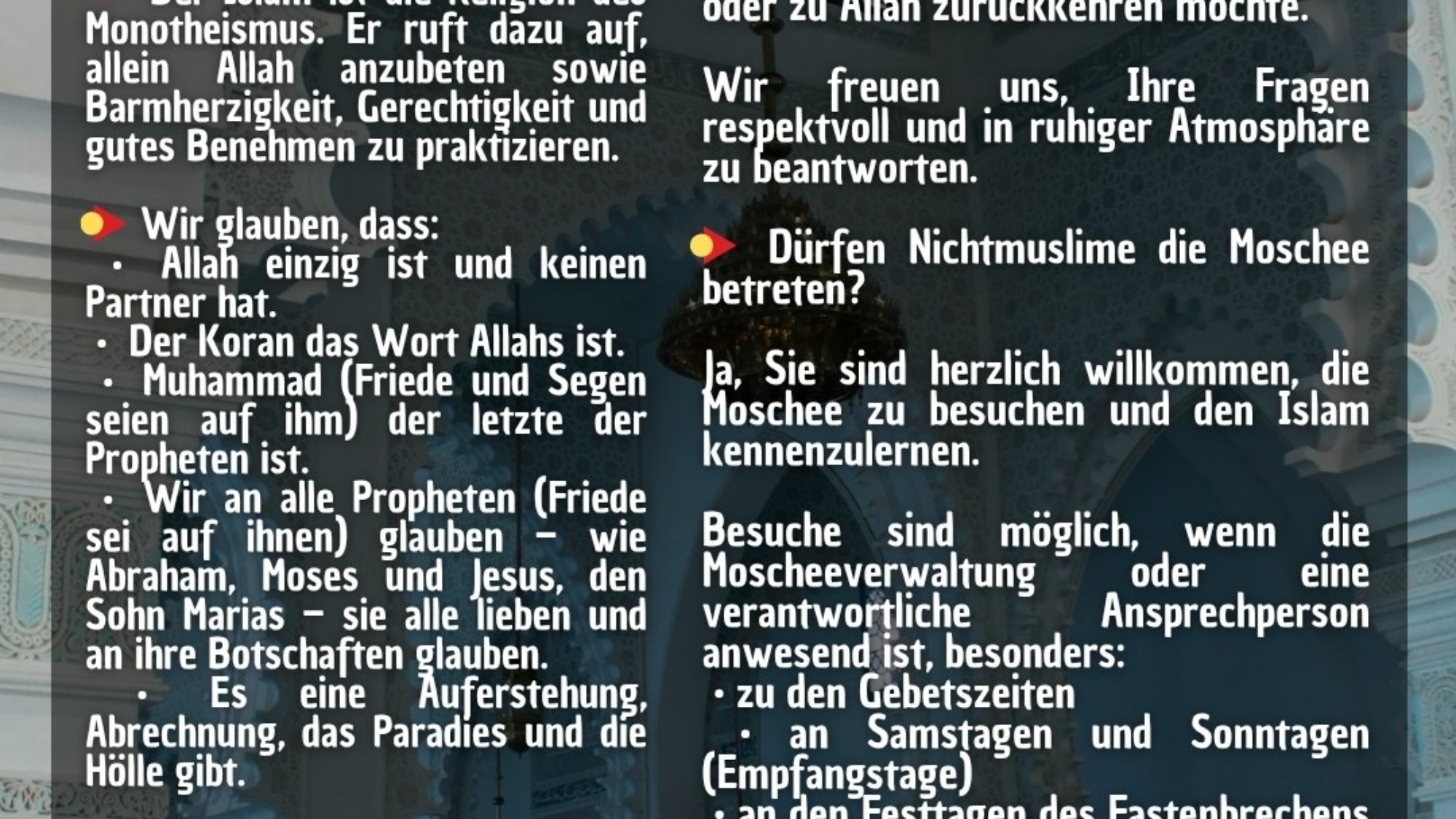 photo_2026-03-28_19-19-44