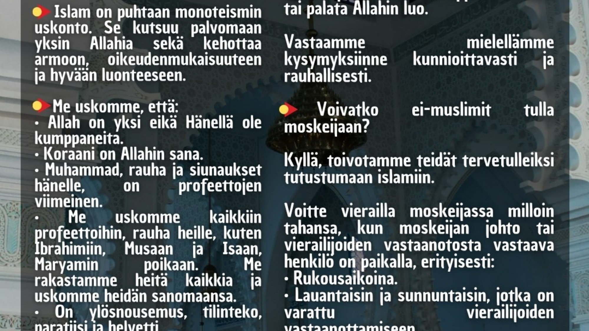 photo_2026-03-28_19-23-18