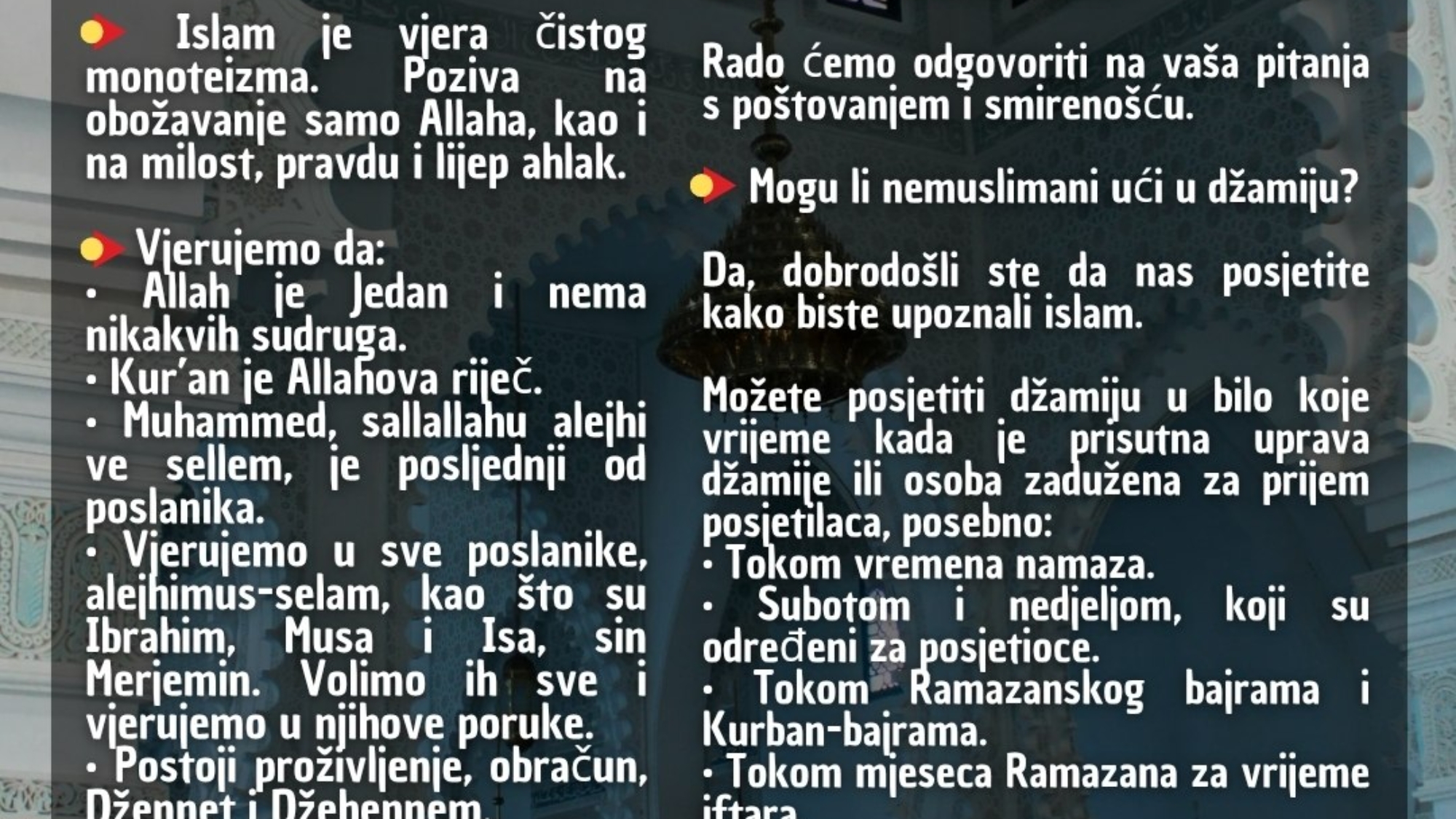 photo_2026-03-28_19-27-55