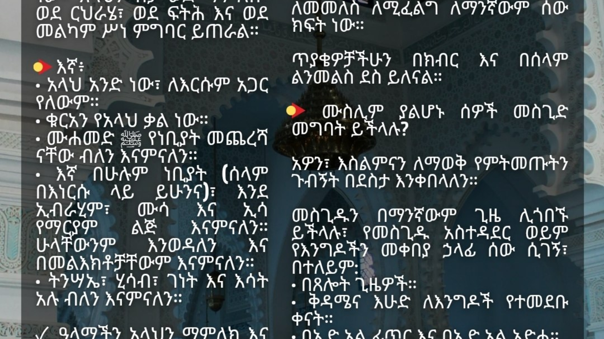 photo_2026-03-30_07-32-53