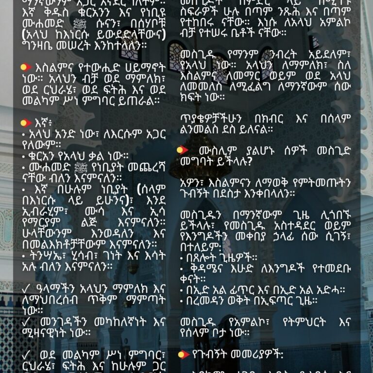 እኛ ማን ነን?