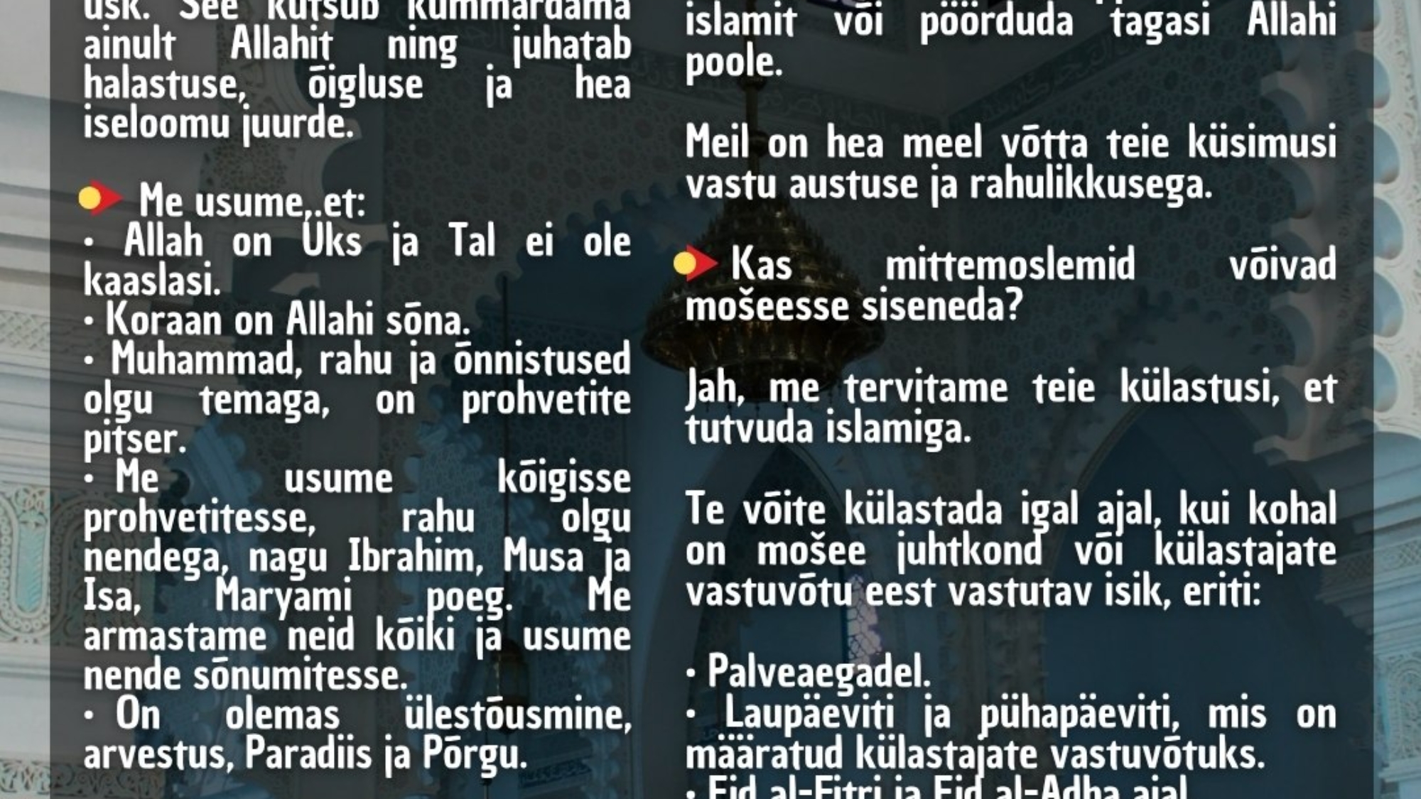 photo_2026-03-30_07-37-37