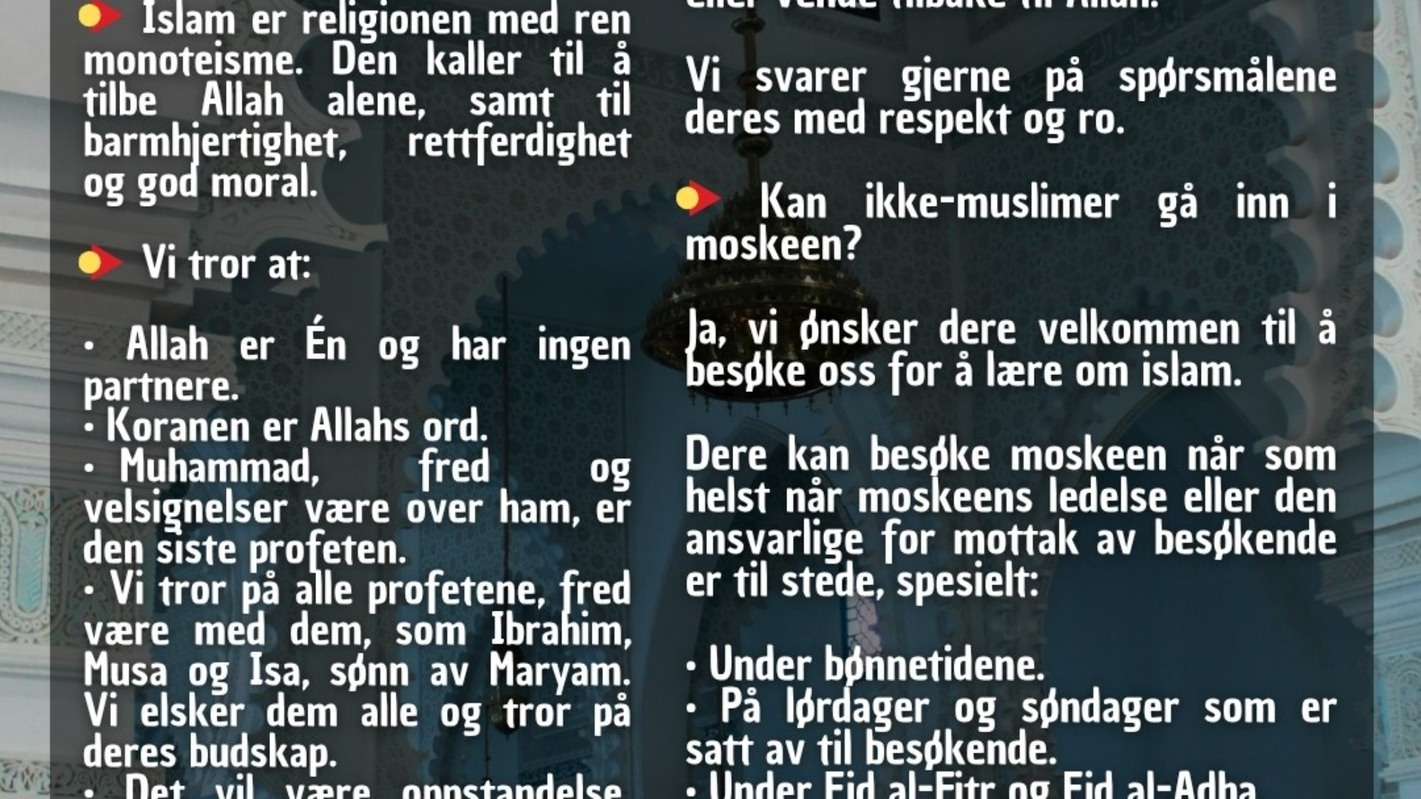 photo_2026-03-30_07-41-57