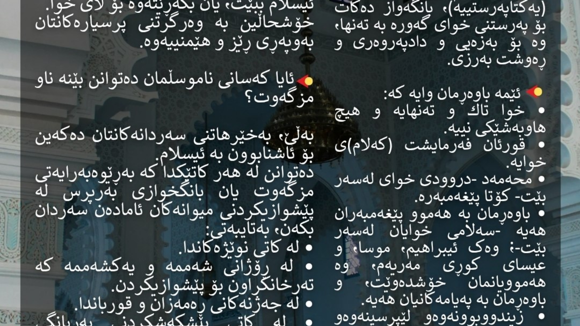 photo_2026-03-30_07-46-31