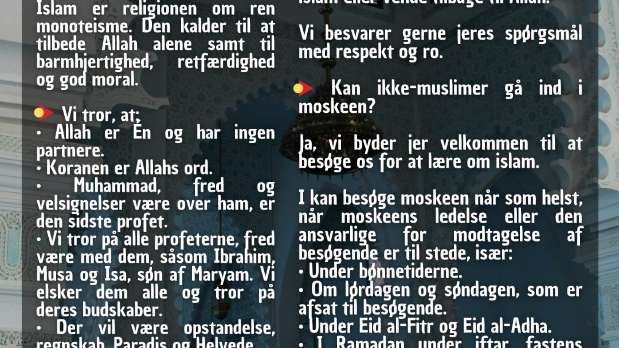 photo_2026-03-30_07-48-57