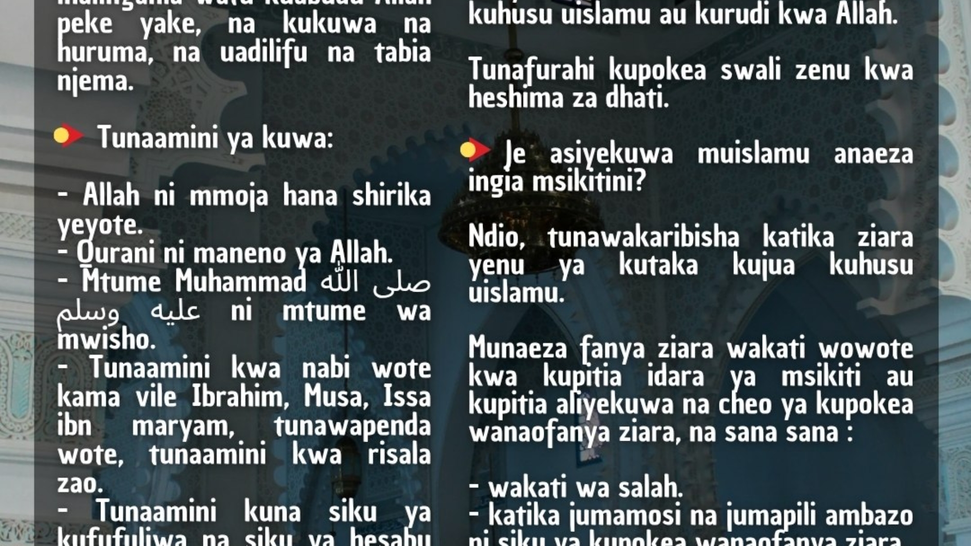 photo_2026-03-30_07-50-26