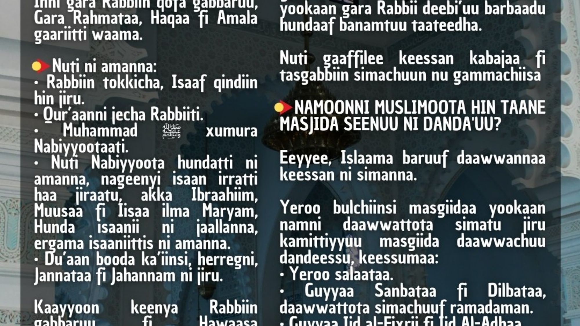 photo_2026-03-30_07-52-25