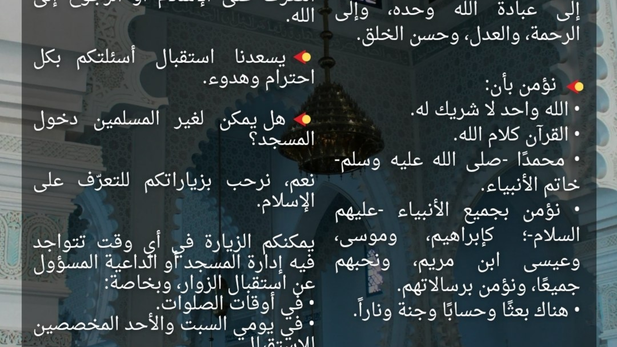 photo_2026-04-02_06-45-19