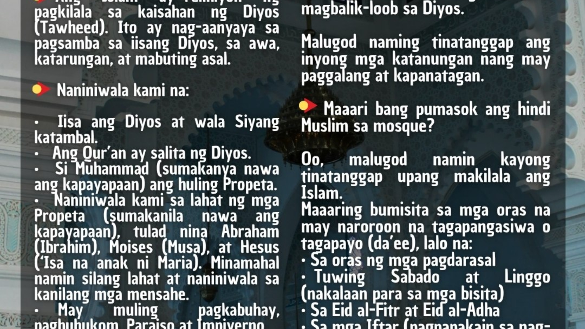 photo_2026-04-02_06-55-35