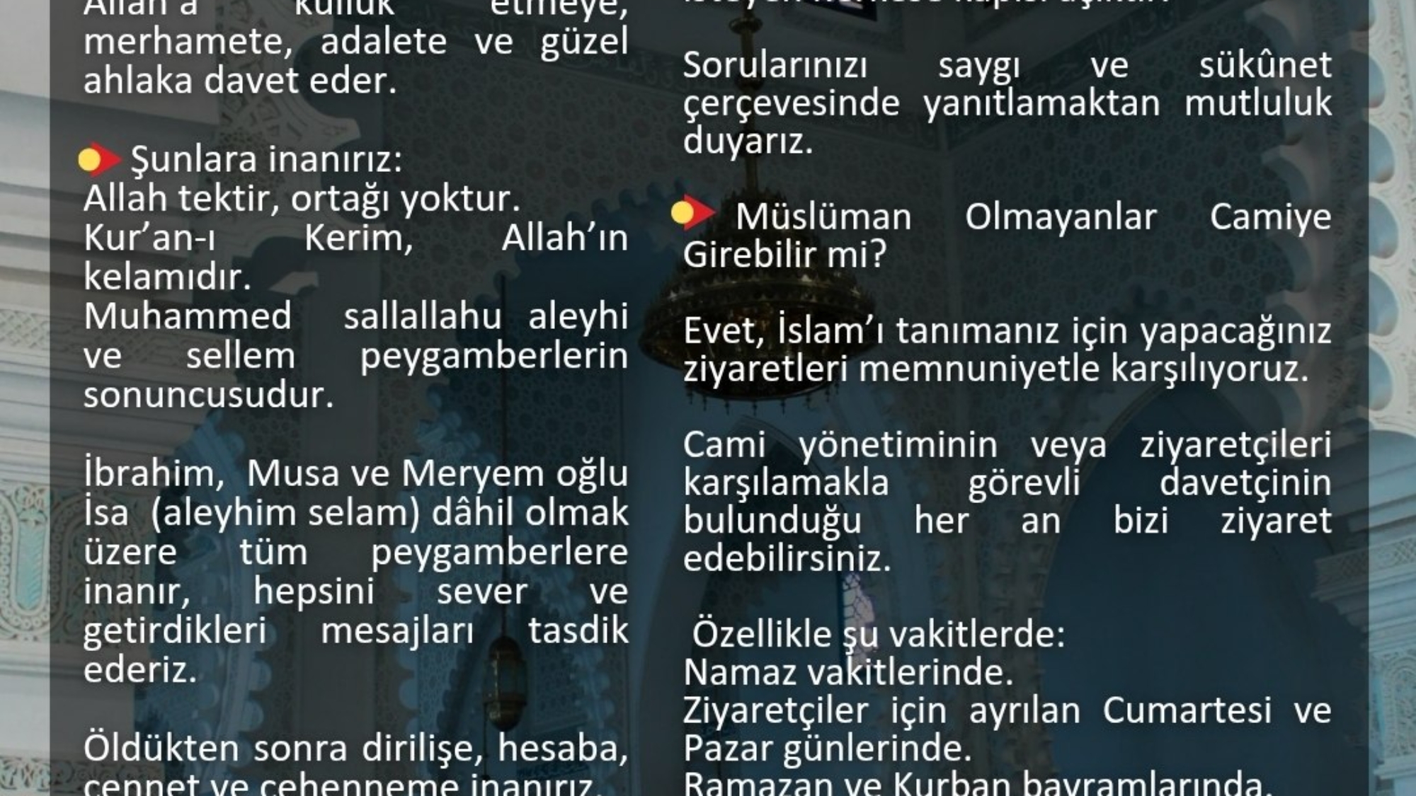 photo_2026-04-02_07-07-16