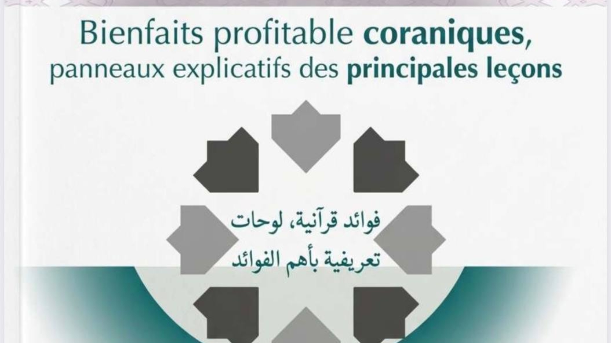 photo_2026-04-02_19-12-39