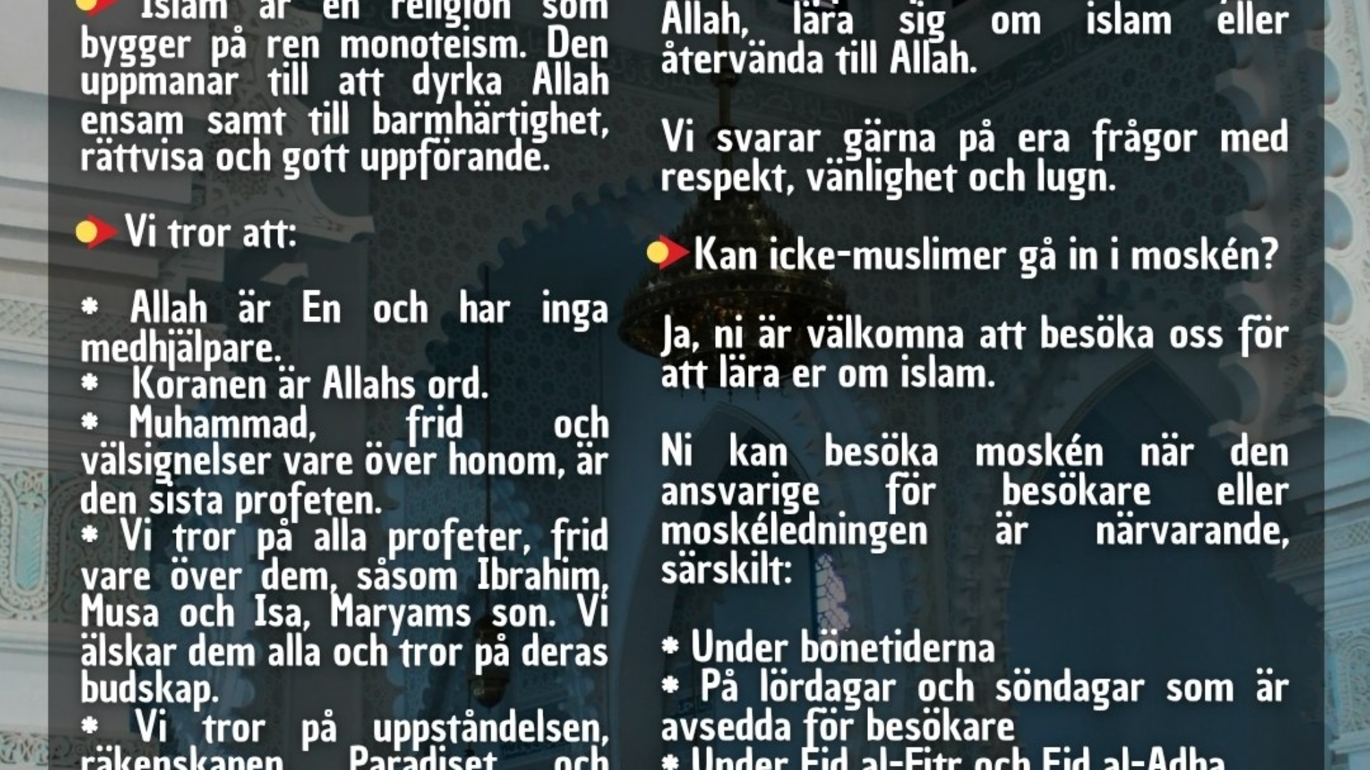 photo_2026-04-05_17-41-37