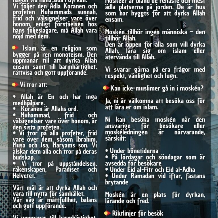 Vilka är vi?