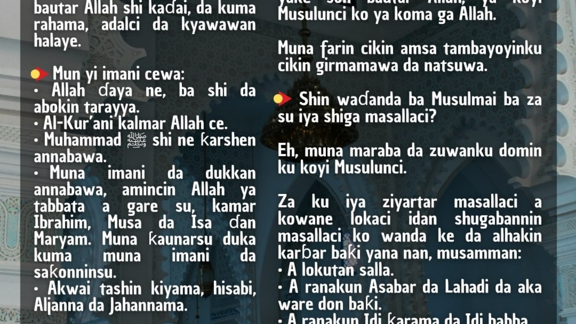 photo_2026-04-05_17-47-15