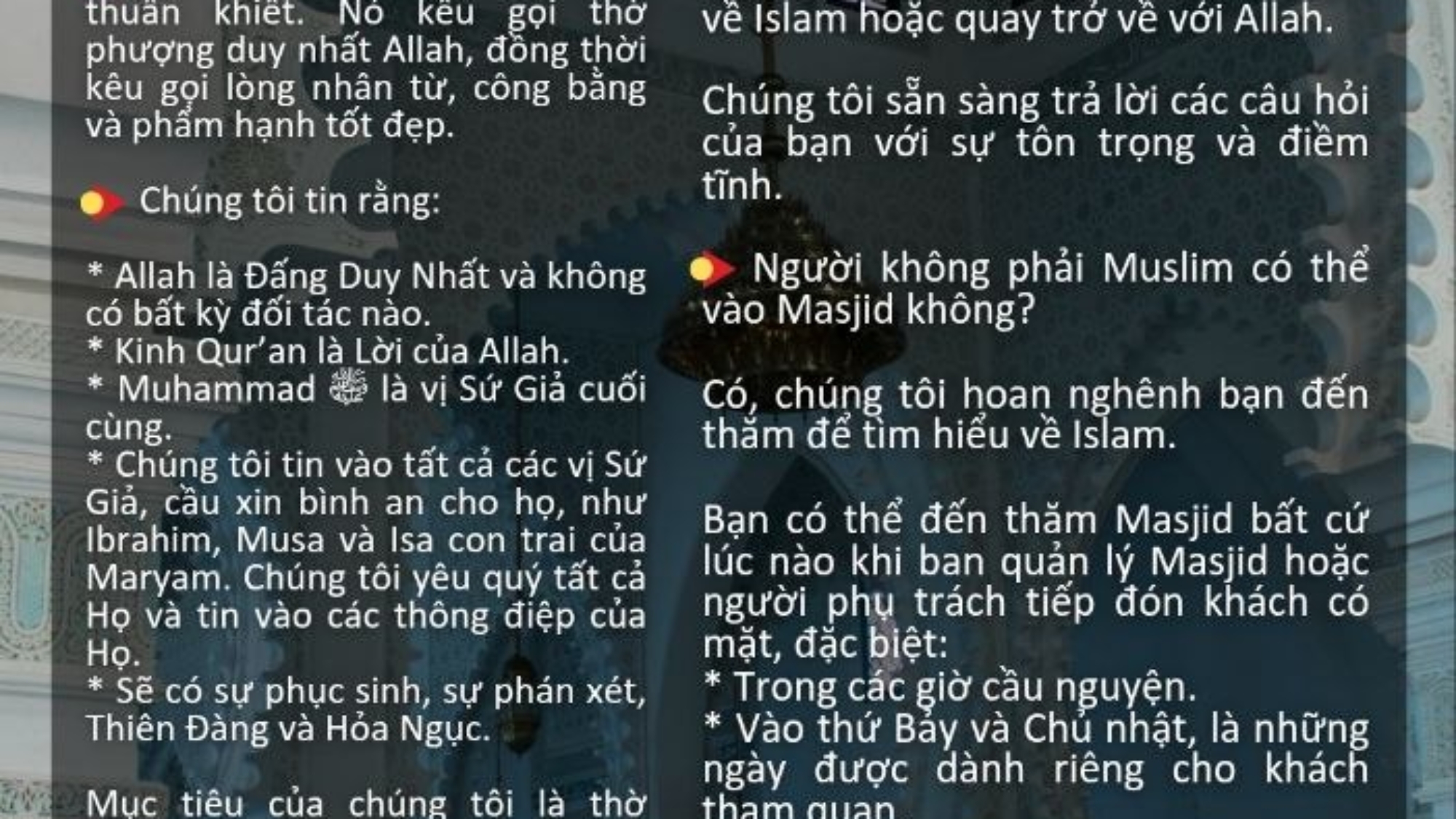 photo_2026-04-05_17-50-15