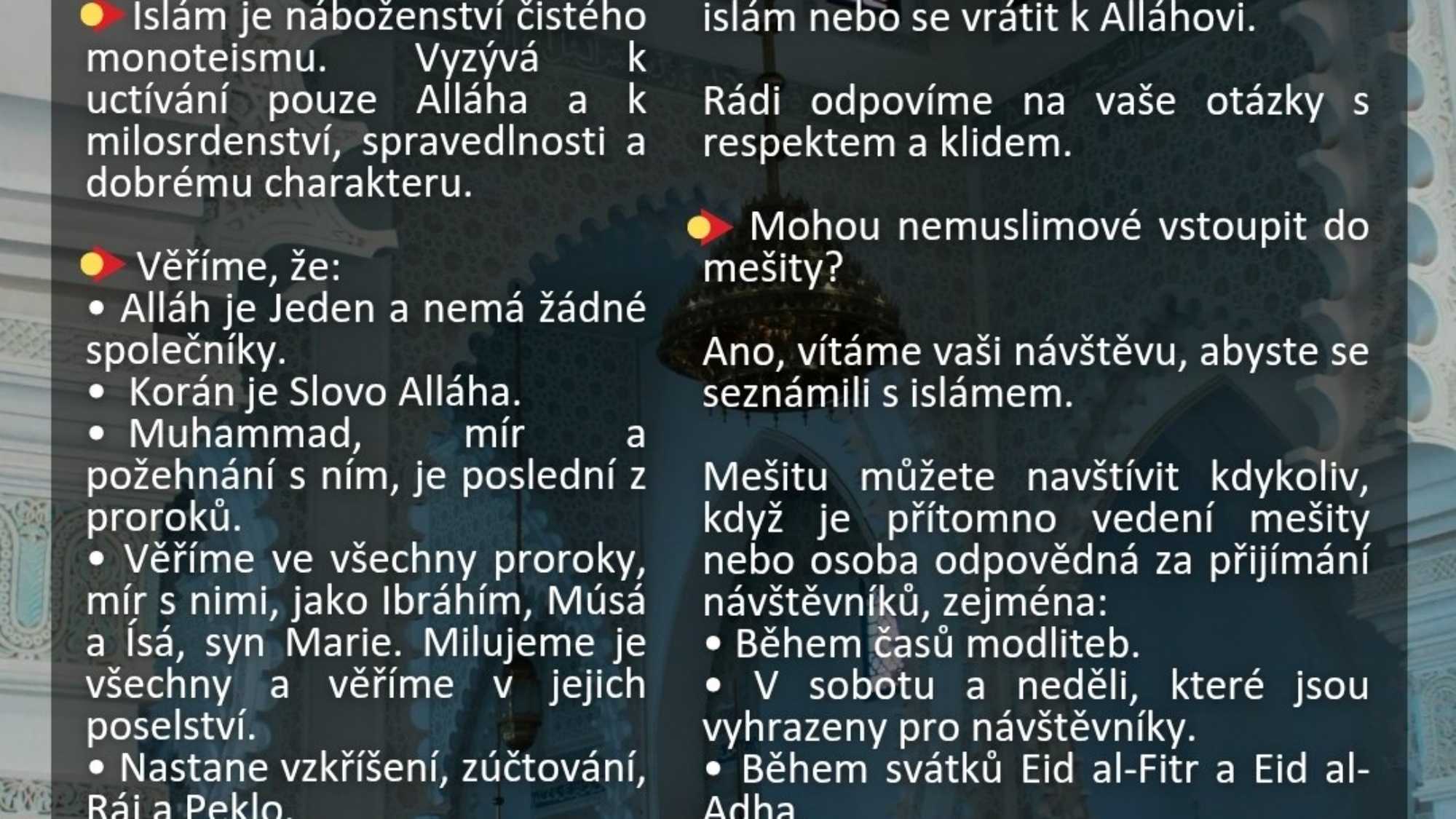 photo_2026-04-06_10-21-39