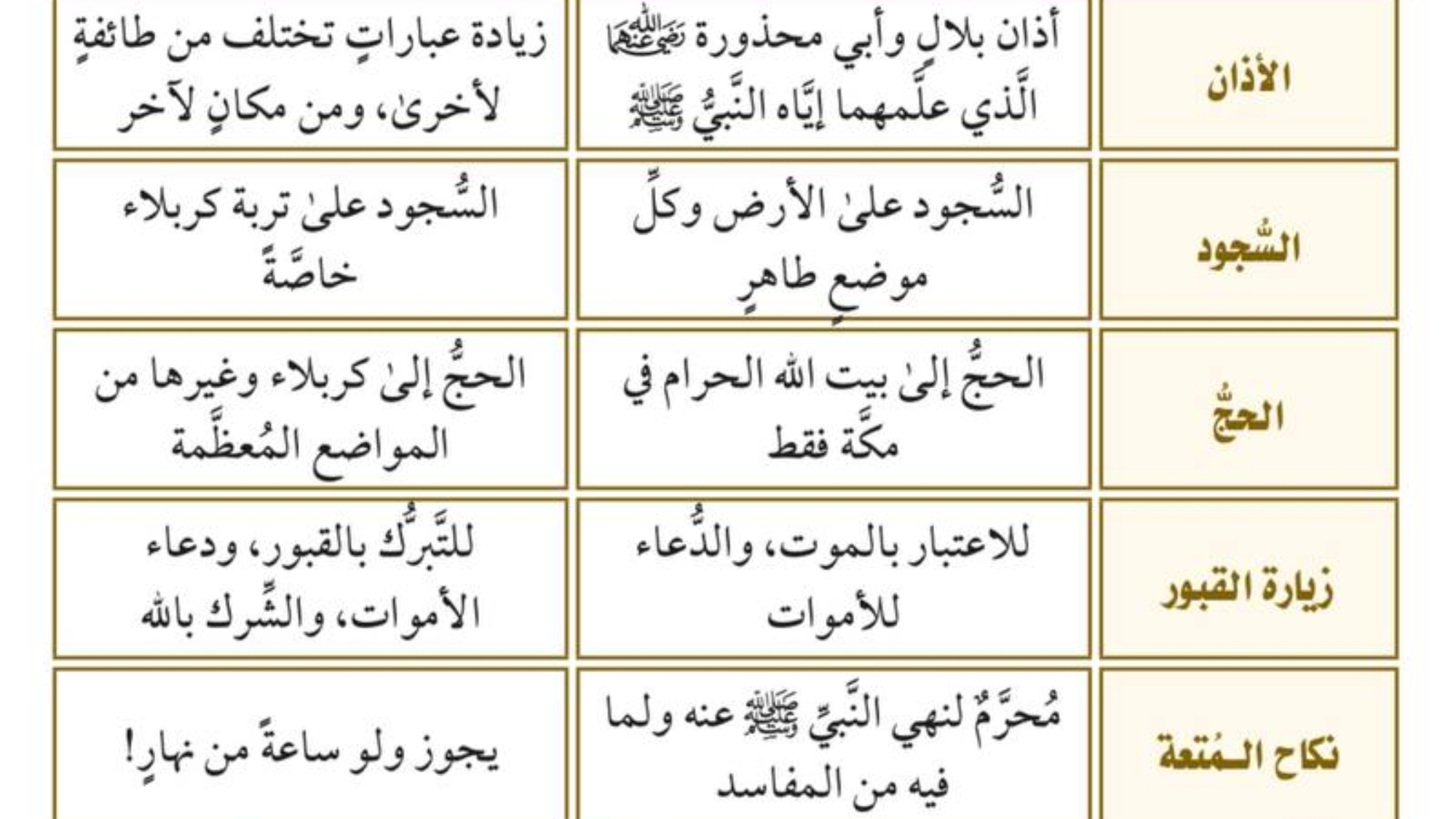 photo_2026-04-06_18-13-48