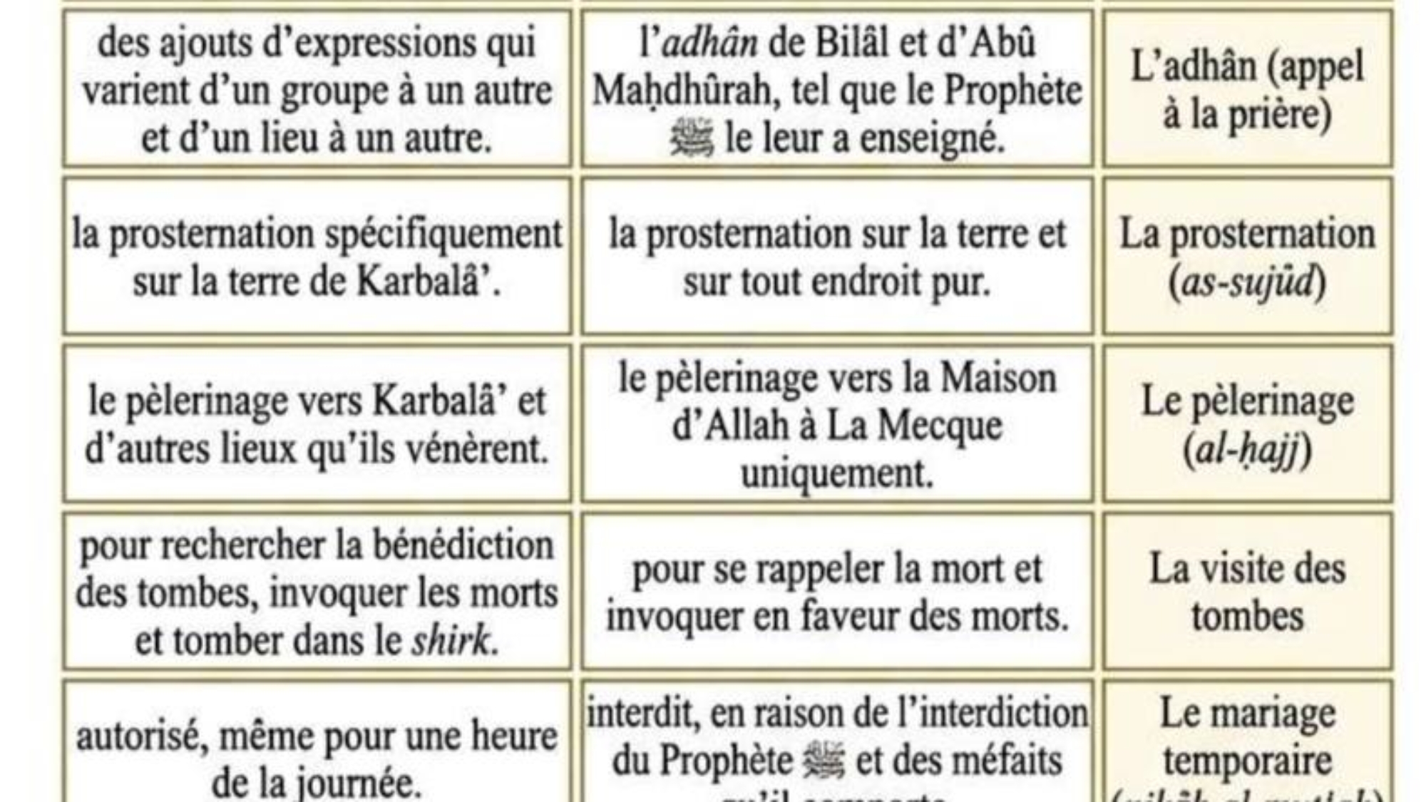 photo_2026-04-07_09-42-03