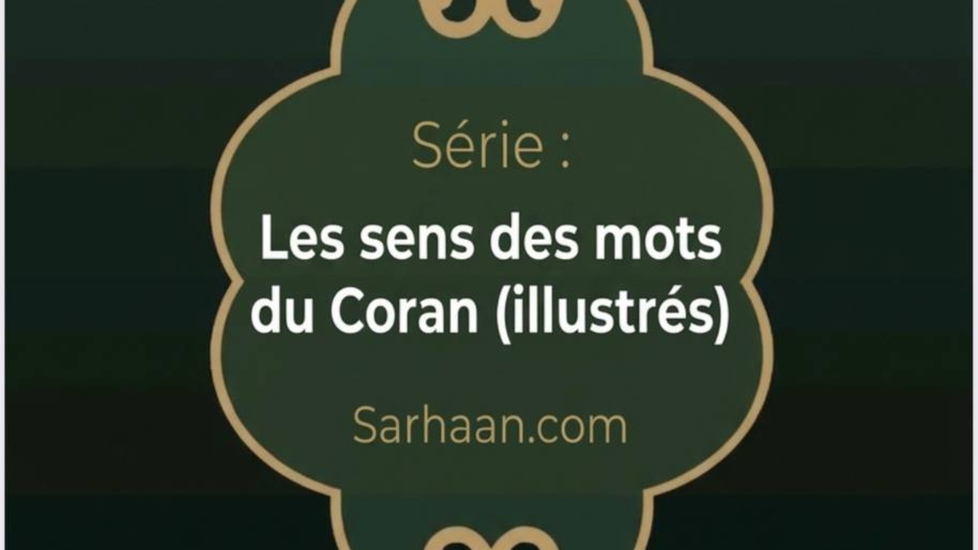 photo_2026-04-10_11-23-36