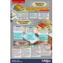 Видови на тевхидот