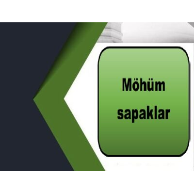 Möhüm sapaklar